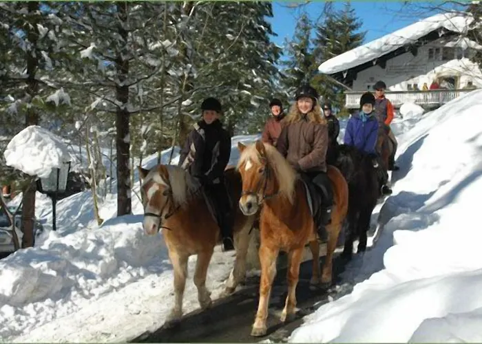 Garni Haus Alpine - Chiemgau Karte Inkl 3* Ruhpolding
