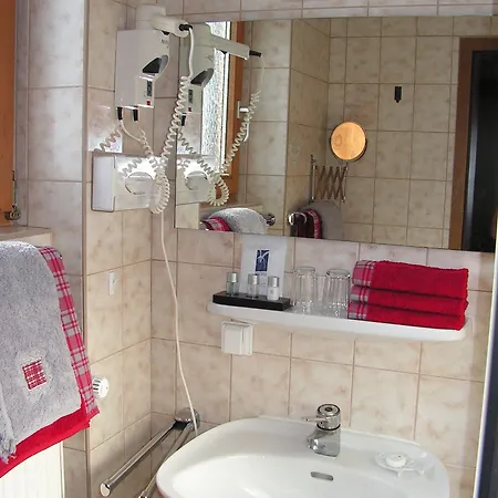 Garni Haus Alpine - Chiemgau Karte Inkl 3* Ruhpolding