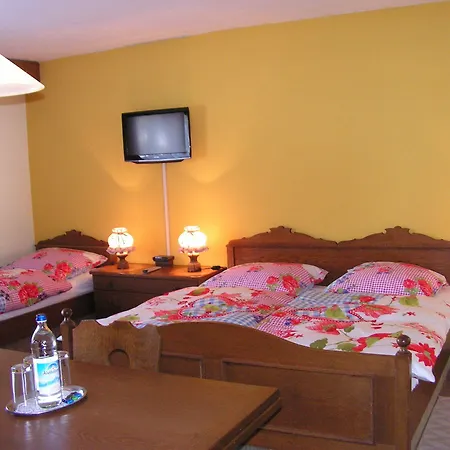 Garni Haus Alpine - Chiemgau Karte Inkl Hotel
