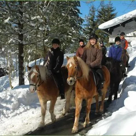 Garni Haus Alpine - Chiemgau Karte Inkl 3* Ruhpolding