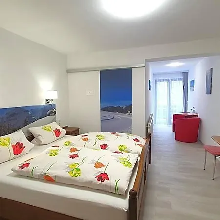 Garni Haus Alpine - Chiemgau Karte Inkl 3* Ruhpolding